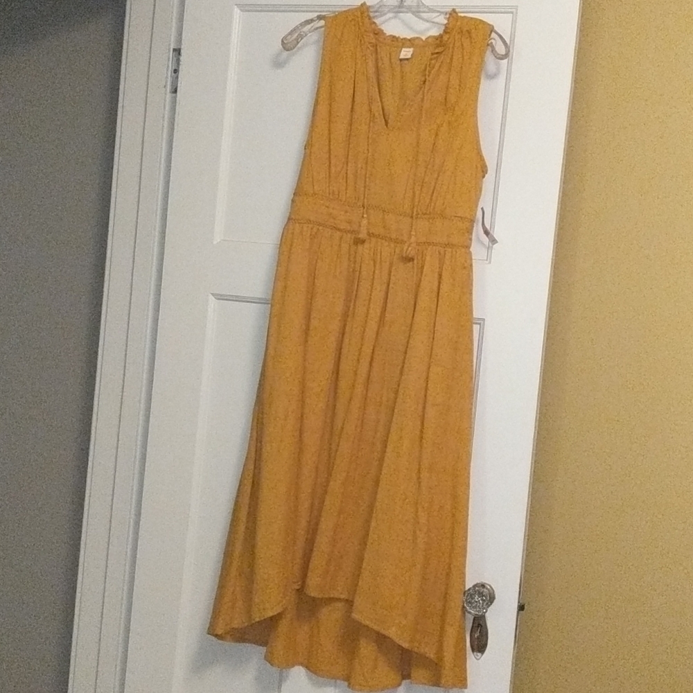 Mustard high low midi